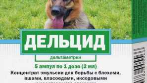 Kako koristiti delgoc iz buha u apartmanu